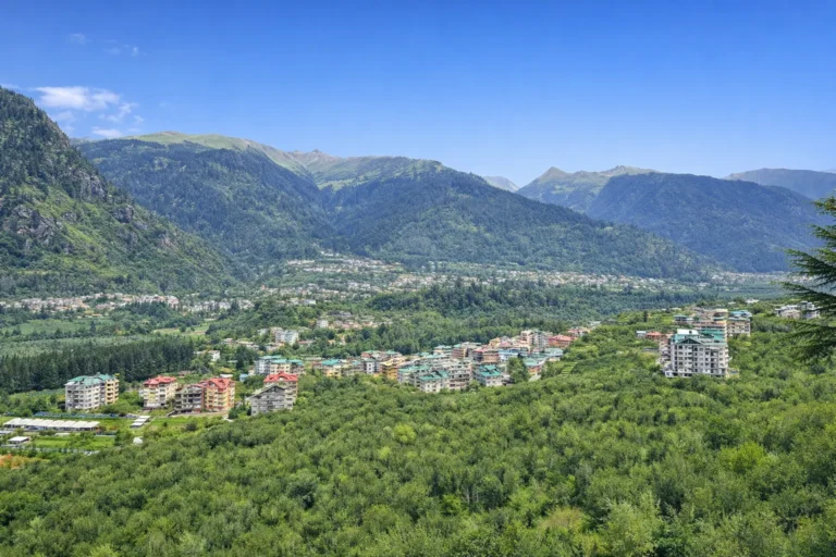 Himalayan village visited on our Himachal tour packages